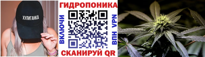 Какие есть наркотики Слюдянка ГЕРОИН СК ГАШИШ Бошки Шишки Псилоцибиновые грибы