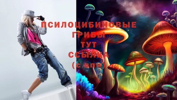 ПСИЛОЦИБИНОВЫЕ ГРИБЫ Алексеевка